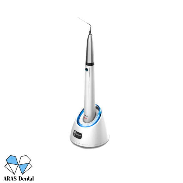ایریگیشن Woodpecker مدل Endo 1